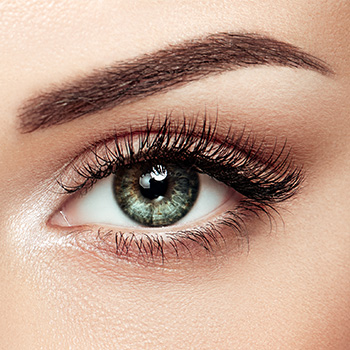 Augenbrauen und Wimpern 